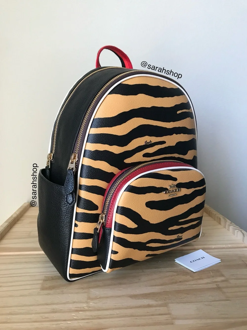 ✅Coach backpack
